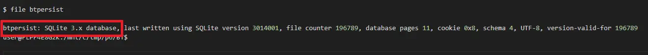 file btpersist output
